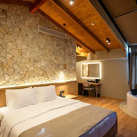 Montis Agroturizëm 4*