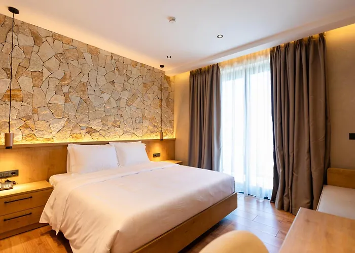 Montis Agroturizem 4*