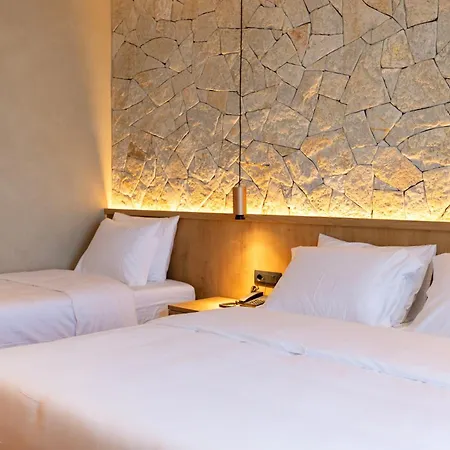 Montis Agroturizem 4*